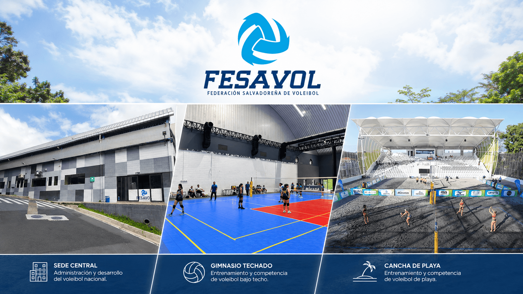Elegí tu ruta dentro del voleibol